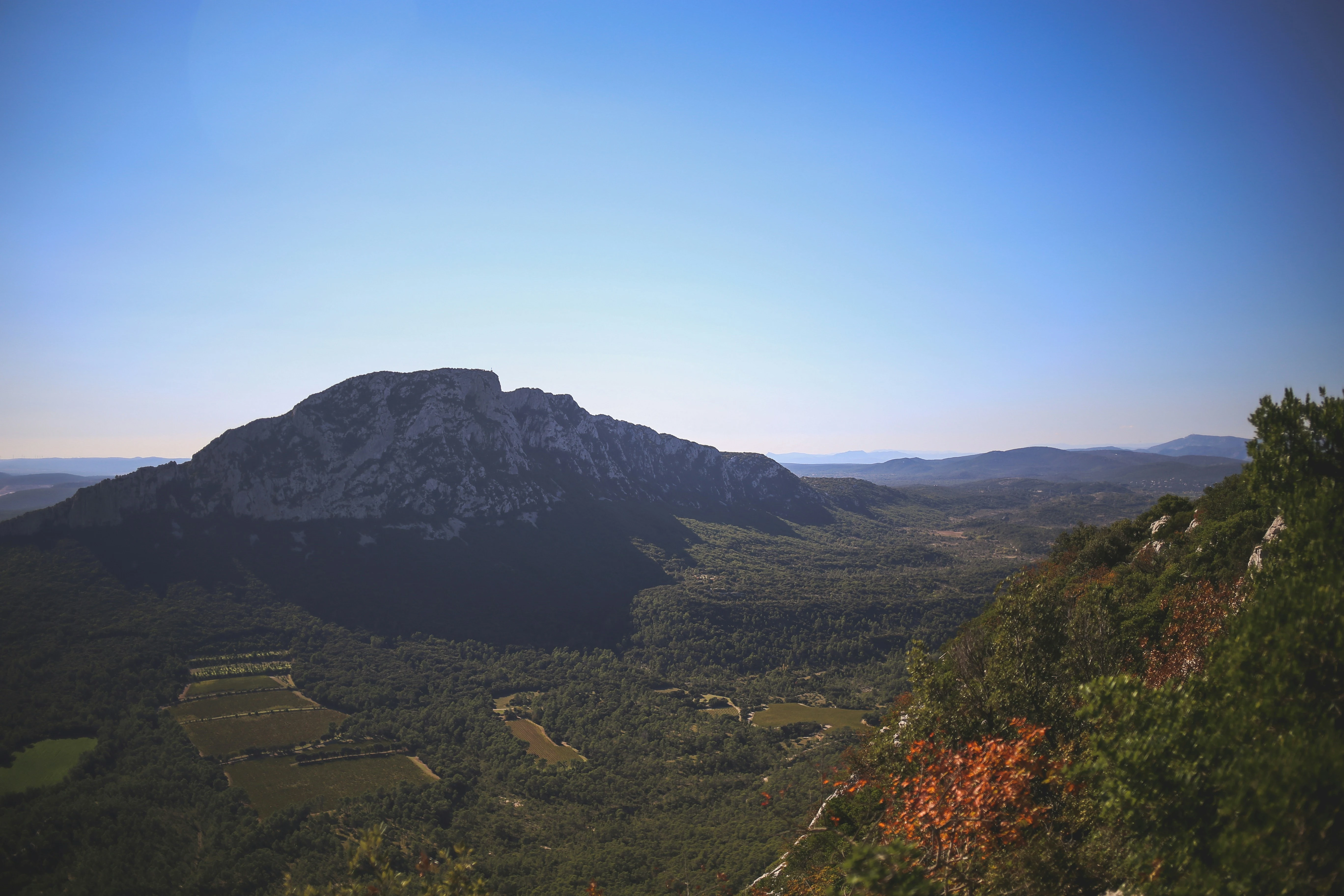 Le Pic Saint-Loup, où le développement web accompagne les vignerons et artisans locaux